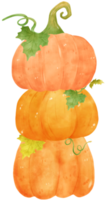 zucche autunnali di halloween dell'acquerello carino con viso e viti cartoni animati disegnati a mano png