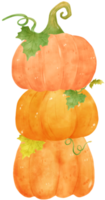 cute watercolor Halloween autumn pumpkins with face and vines cartoon hand drawn png