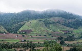 Plantation field of the local farmer on the hill. photo