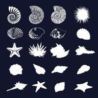 Set of sea shells silhouettes vector