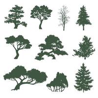 Set of leaves of different tropical and European trees and plants. vector