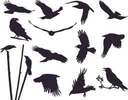 juego de cuervos, 13 piezas. conjunto de siluetas de pájaros voladores. los cuervos baten sus alas y vuelan en el cielo vector