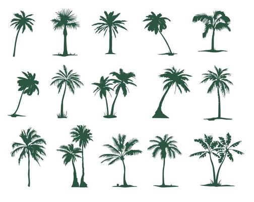 A set of silhouettes of Palm trees,15 pieces. Tropical palm tree silhouette for your art