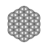Symbol Flower of life. The flower of life is a symbol of sacred geometry and the universal forgotten language of the universe. vector