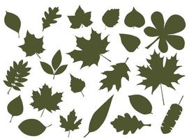 conjunto de siluetas de hojas. hojas de árboles de bosque caducifolio