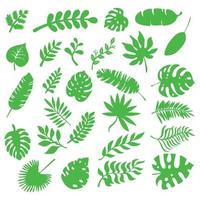 conjunto de hojas de diferentes árboles y plantas tropicales y europeos. vector