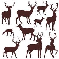 Set of silhouettes of horned deer and fawn vector