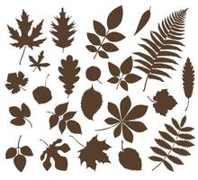 A set of leaves and blades of grass. Leaves of deciduous forest trees vector