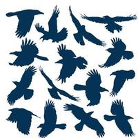 A set of silhouettes of flying crows vector
