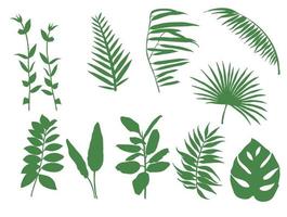 A set of blades of grass and leaves vector