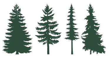 Coniferous trees set. The forest is full of coniferous trees vector