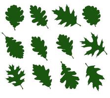 Set of leaf silhouettes of deciduous trees vector