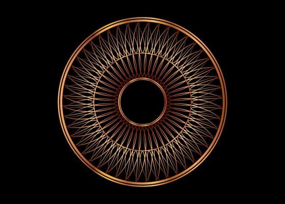 Decorative round gold frame, Mandala for design with floral ornament. Circle border template for printing postcards, invitations, books, for textiles, engraving, wooden furniture, forging. Vector
