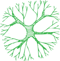 árbol icono signo símbolo diseño png