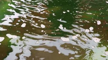 Green water and fountain from fountain Koh Samui Thailand. video