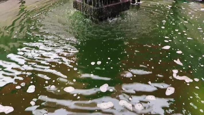 泉水影片