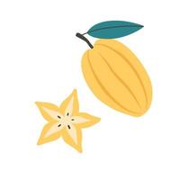 Fresh carambola, star fruit. Exotic and tropical fruit. Healthy food vector