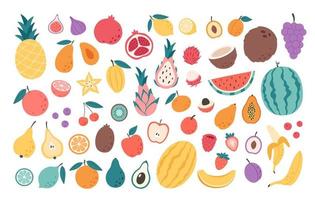 Fruits, berries and exotic fruits collection. Natural organic nutrition. Healthy food vector