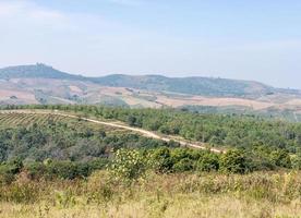 Vegetable plot on the high mountain. photo