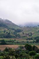 Plantation field of the local farmer behind the village. photo