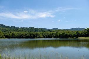 The small quiet lake of the reservoir with the grass flower in the foreground. photo
