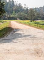 Dirt road along the small reservoir. photo