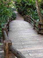 Concrete bridge with the log tile. photo