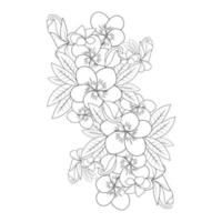 plumeria flower line art sketch with outline stroke of doodle coloring page for print vector