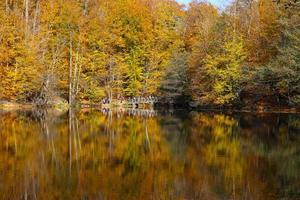 Buyuk Lake in Yedigoller National Park, Bolu, Turkey photo