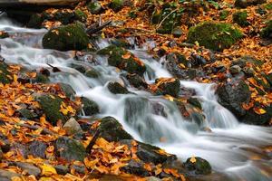 Waterfall in Yedigoller National Park, Bolu, Turkey photo