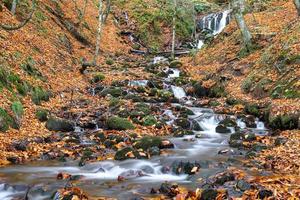 Waterfall in Yedigoller National Park, Bolu, Turkey photo