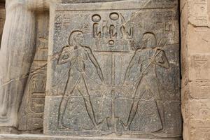 Egyptian Hieroglyphs in Luxor Temple, Luxor, Egypt photo