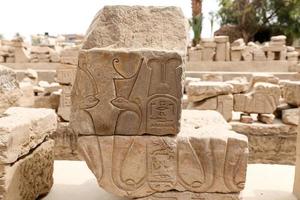 Egyptian Hieroglyphs in Luxor Temple, Luxor, Egypt photo