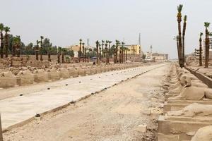 avenida de las esfinges en el templo de luxor, luxor, egipto foto