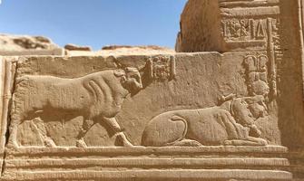 Scene from Kom Ombo Temple in Aswan, Egypt photo