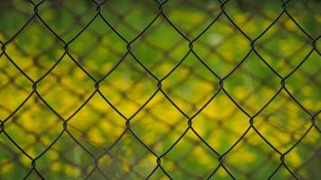 metal fence. photo of a fence on a green background