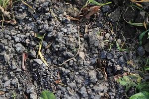 Detailed close up view on agricultural grounds and acre in high resolution photo