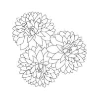 dahlia or dalia flower coloring page of vector illustrations in hand drawn sketch doodle style line art