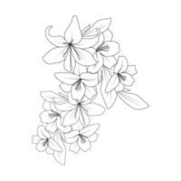 wedding background of doodle lily flower line art drawing for printing element vector