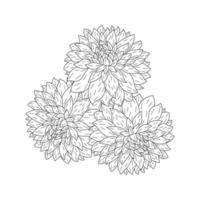 dahlia o dalia flor página para colorear de ilustraciones vectoriales en boceto dibujado a mano estilo garabato arte lineal vector