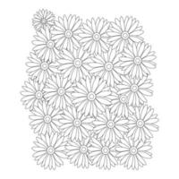 chamomile flowers black and white outline vector illustration isolated on white background