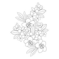 plumeria flower line art sketch with outline stroke of doodle coloring page for print vector