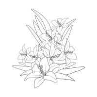 doodle lily flower coloring page drawing with line art drawing for printing element vector