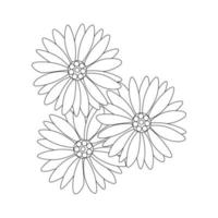 chamomile flowers black and white outline vector illustration isolated on white background