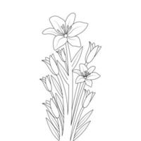 lily flower line art drawing of continuous pencil artwork for kid coloring page of printing element vector