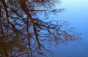 Detailed close up view on water surfaces with ripples and waves and the sunlight reflecting at the surface photo