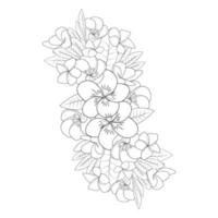 plumeria flower line art sketch with outline stroke of doodle coloring page for print vector