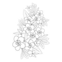 plumeria flower doodle coloring page outline vector illustration of isolated in white background