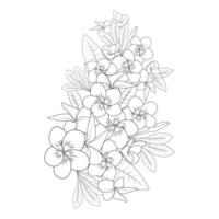 plumeria flower doodle coloring page outline vector illustration of isolated in white background