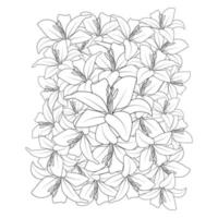 wedding background of doodle lily flower line art drawing for printing element vector